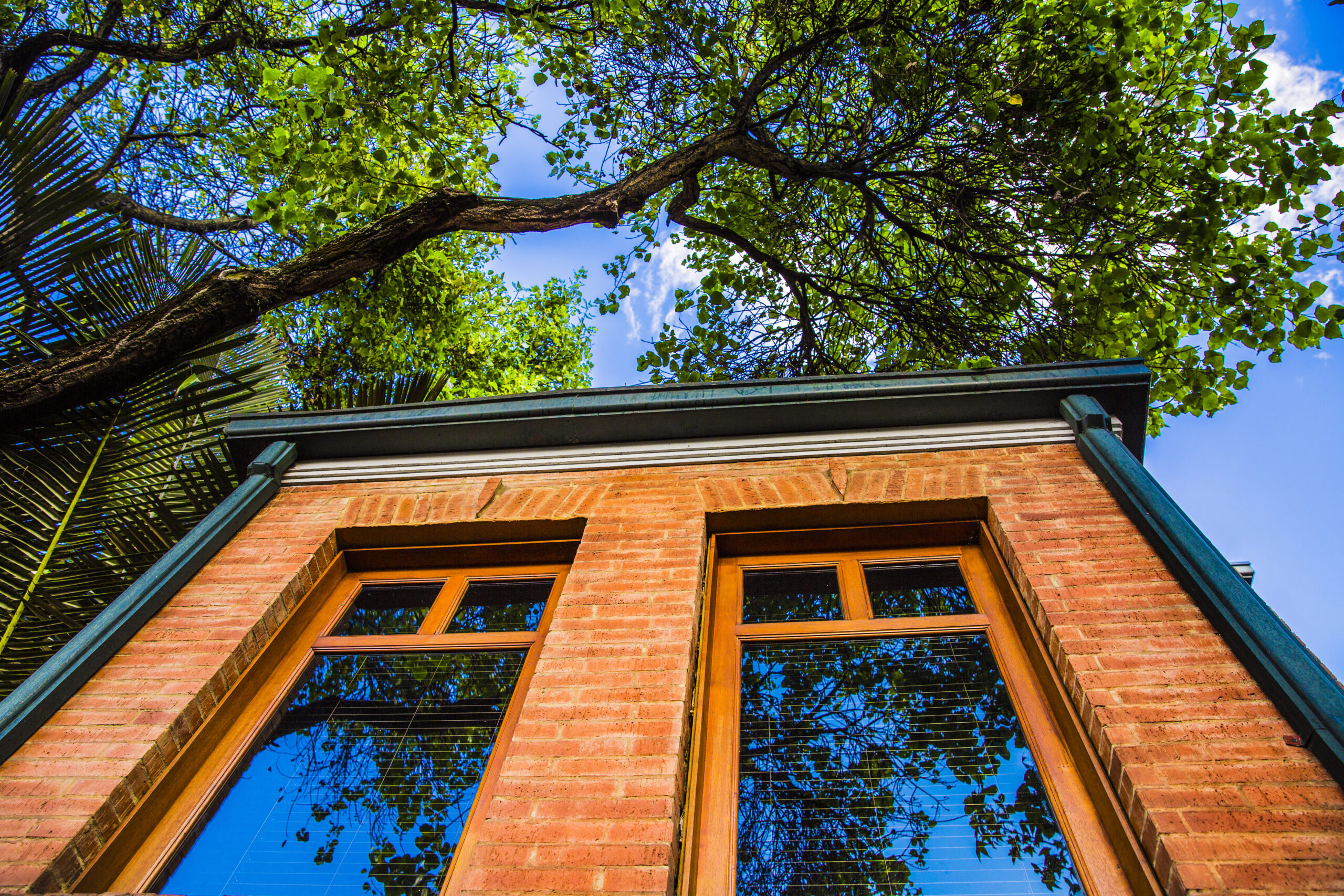 Sede en Bogotá D.C.